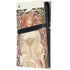 Alphonse Mucha Reverie 1897 PS5 Pro Console Skin